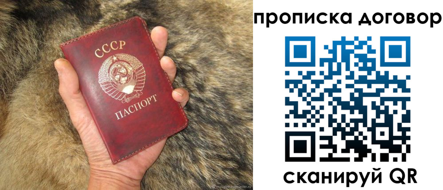 прописка регистрация в Талице